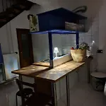 Mychiaiapuntoit